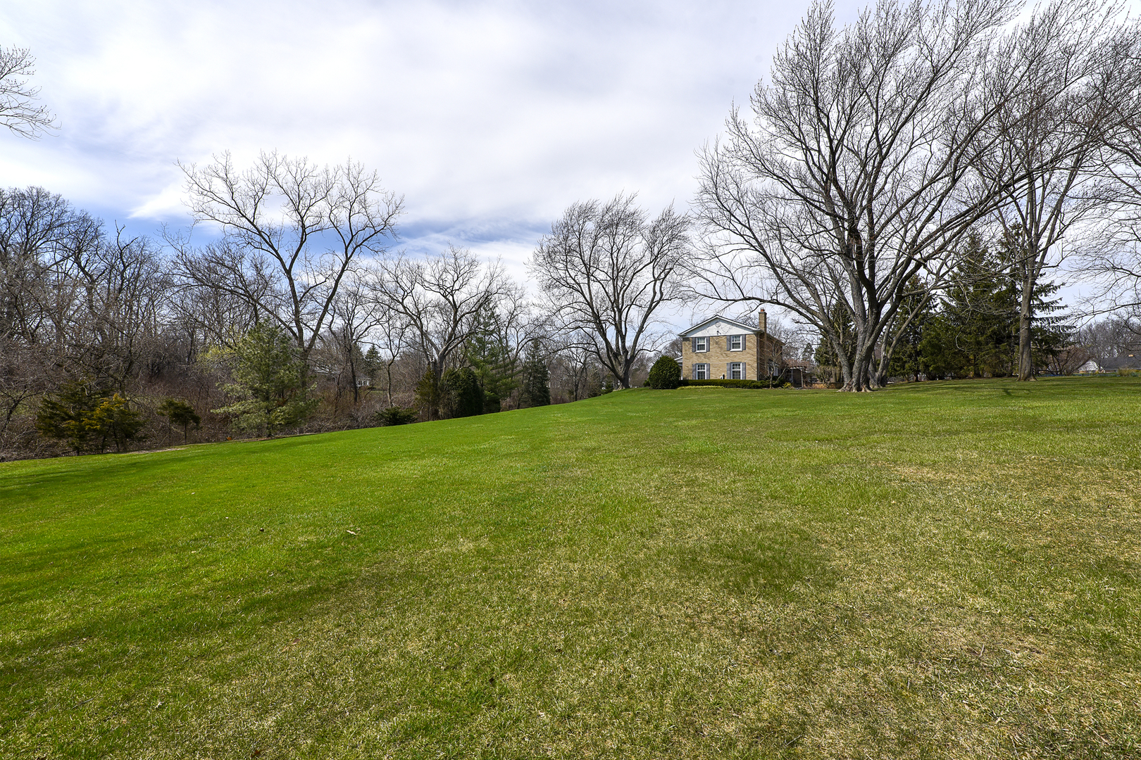 1495 Dunbar Road Inverness, IL 60067 - Photo 4 of 6 a view of a field with large trees