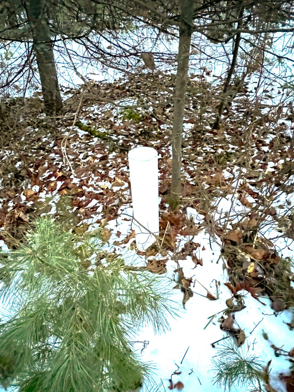 2725 Dam Road Eagle River, WI 54521 - Photo 10 of 16 Gallery Image 10