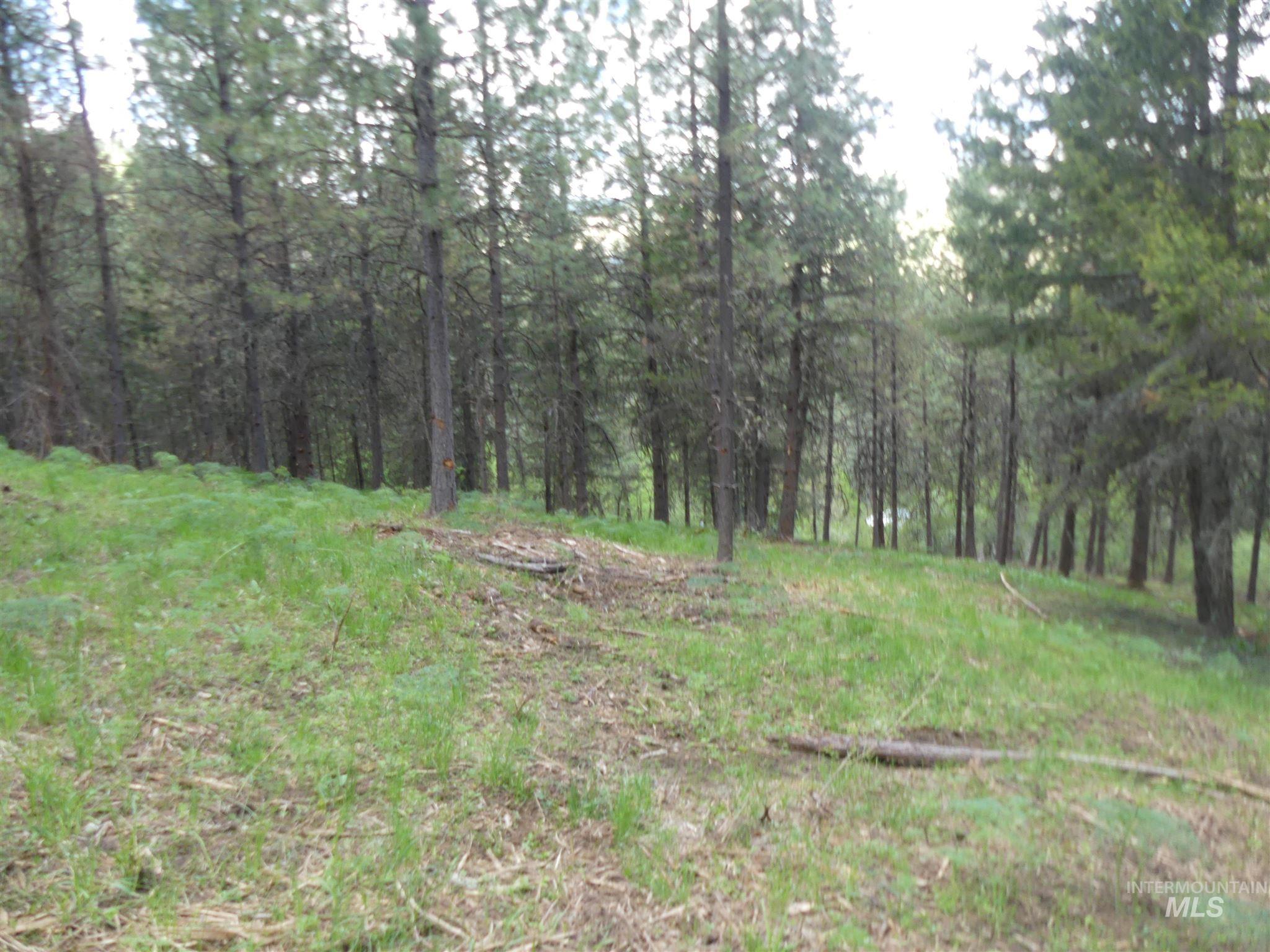22743 Old Melrose Grade Road Peck, ID 83545 - Photo 24 of 45
