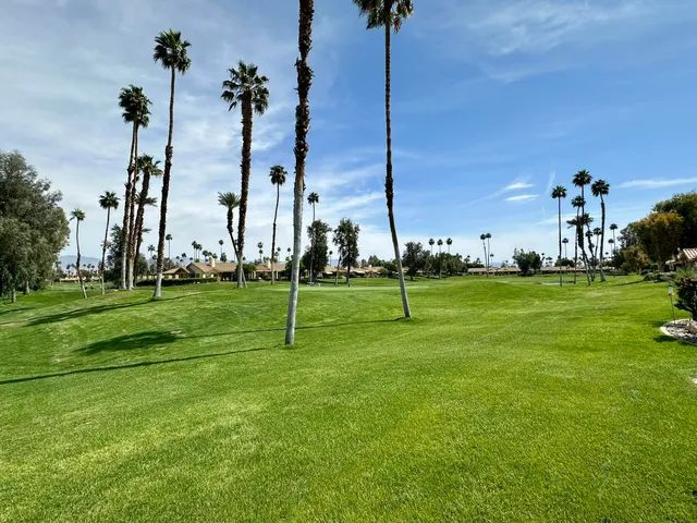 a view of a park with lots of palm trees