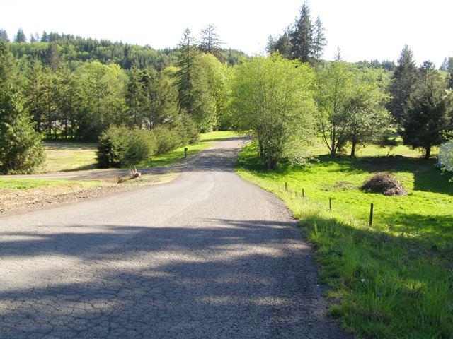 Tl#1102 Hurliman Hill Road Tillamook, OR 97141 - Photo 11 of 15 P5071213