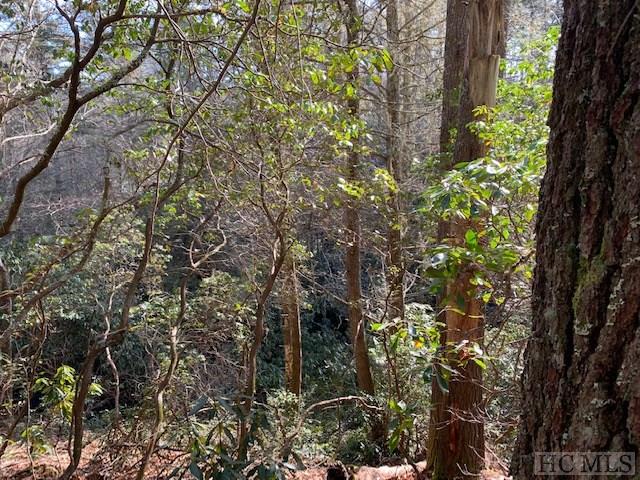 Tbd North Norton Road Cullowhee, NC 28723 - Photo 10 of 16 Gallery Image 10
