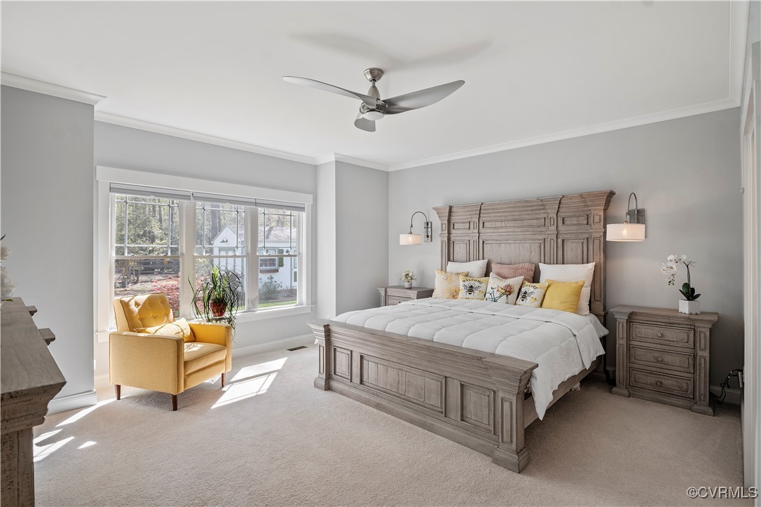 6213 Round Rock Road Chesterfield, VA 23838 - Photo 16 of 45 Spacious Primary Bedroom featuring ornamental mold