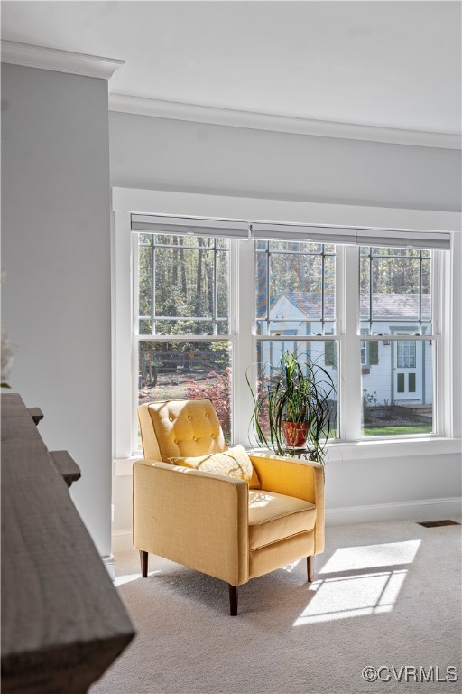 6213 Round Rock Road Chesterfield, VA 23838 - Photo 19 of 45 Sitting area in Primary bedroom