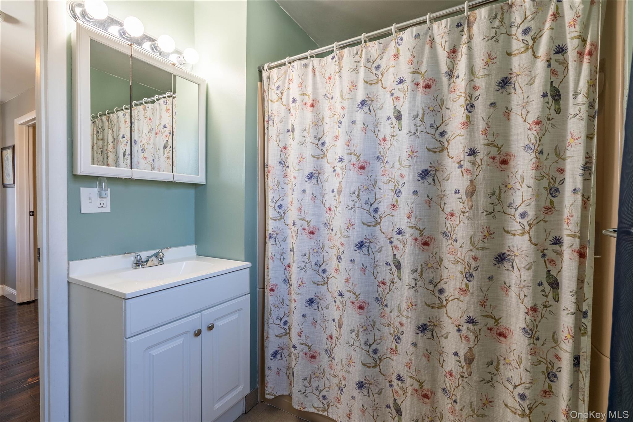28 Maple Street Cornwall, NY 12518 - Photo 16 of 32 Bathroom featuring a shower with shower curtain, vanity, and wood finished floors