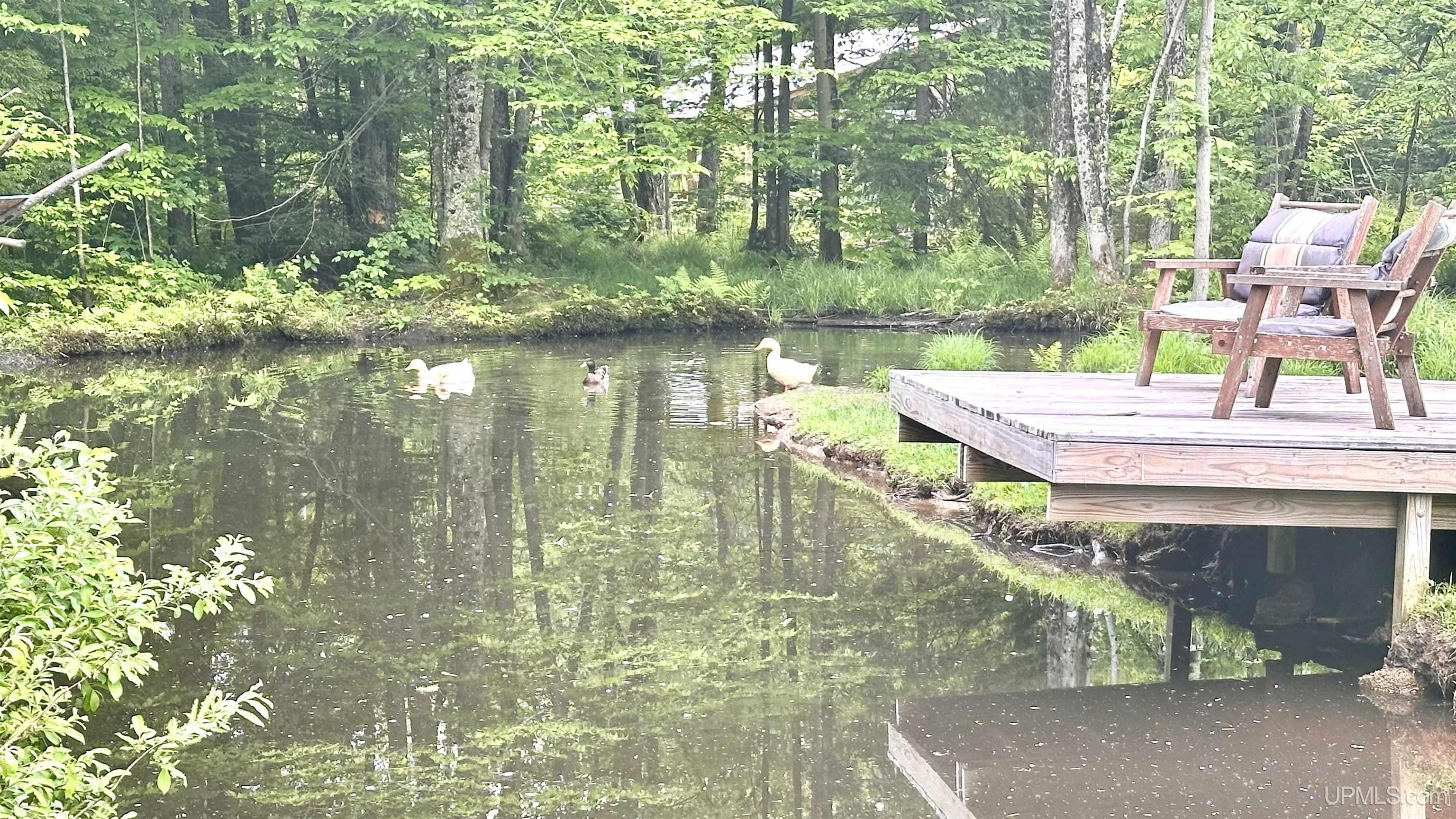 N5232 Dhondt Road Skandia, MI 49885 - Photo 28 of 53