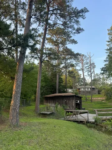 a view of a park with large trees