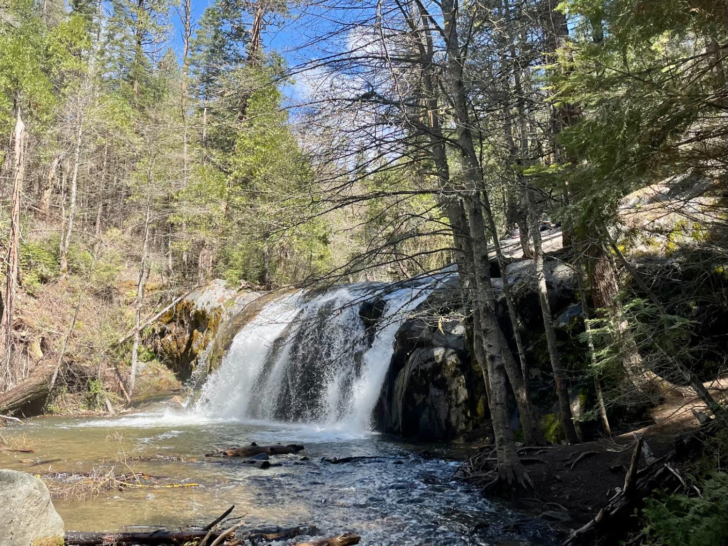 50054 Poplar Road Oakhurst, CA 93644 - Photo 2 of 34 a view of a yard