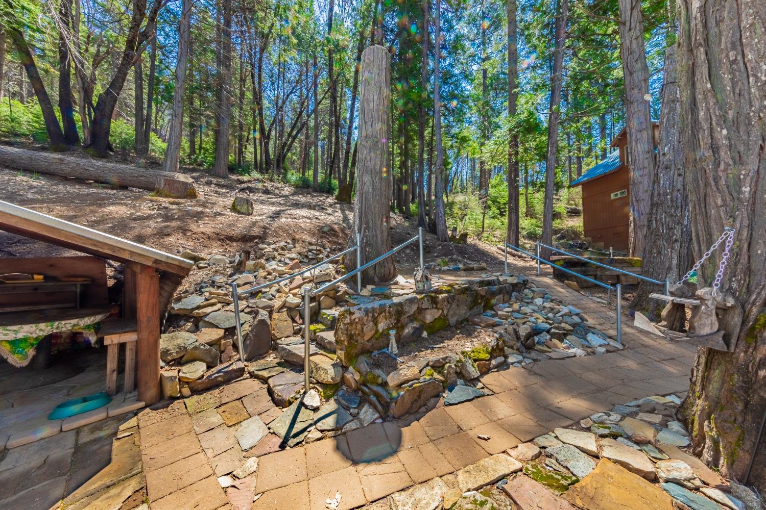 50054 Poplar Road Oakhurst, CA 93644 - Photo 25 of 34 a backyard of a house with lots of green space