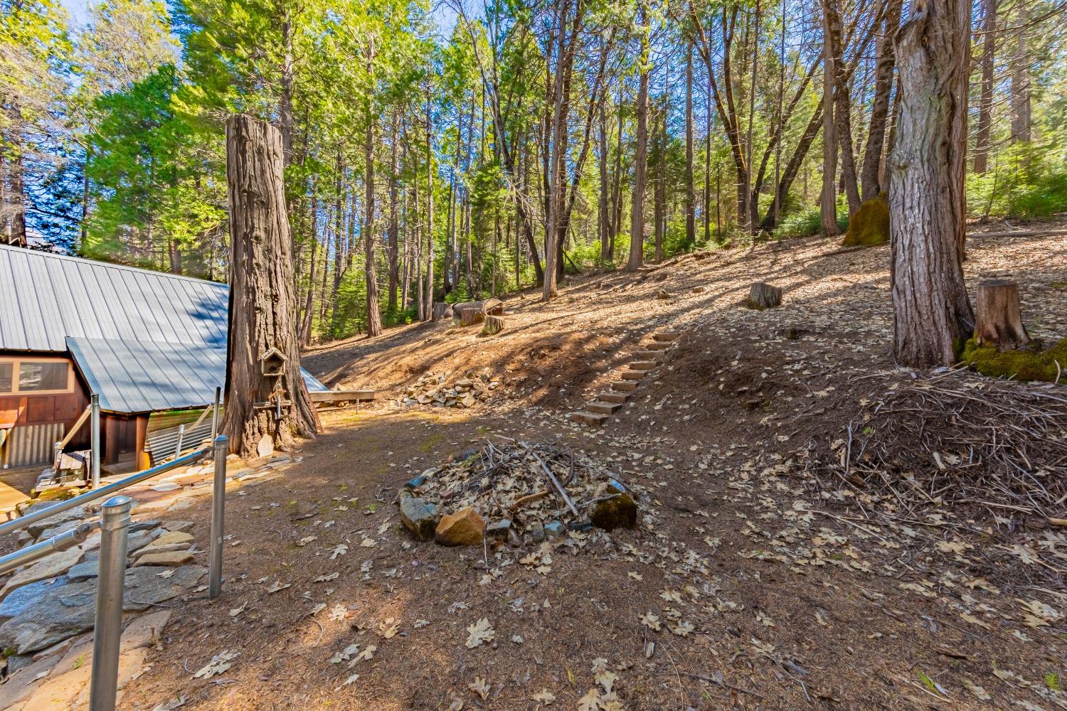 50054 Poplar Road Oakhurst, CA 93644 - Photo 27 of 34 a view of a backyard with large trees and wooden fence