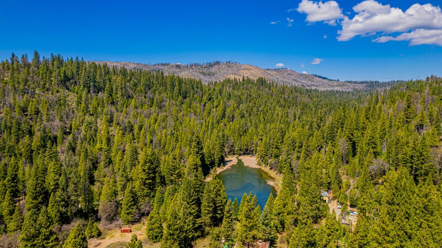 50054 Poplar Road Oakhurst, CA 93644 - Photo 31 of 34 a view of a lake