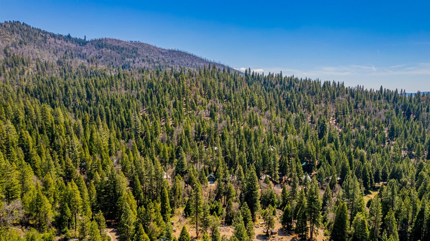 50054 Poplar Road Oakhurst, CA 93644 - Photo 34 of 34 a view of a lush green field with a tree in the background