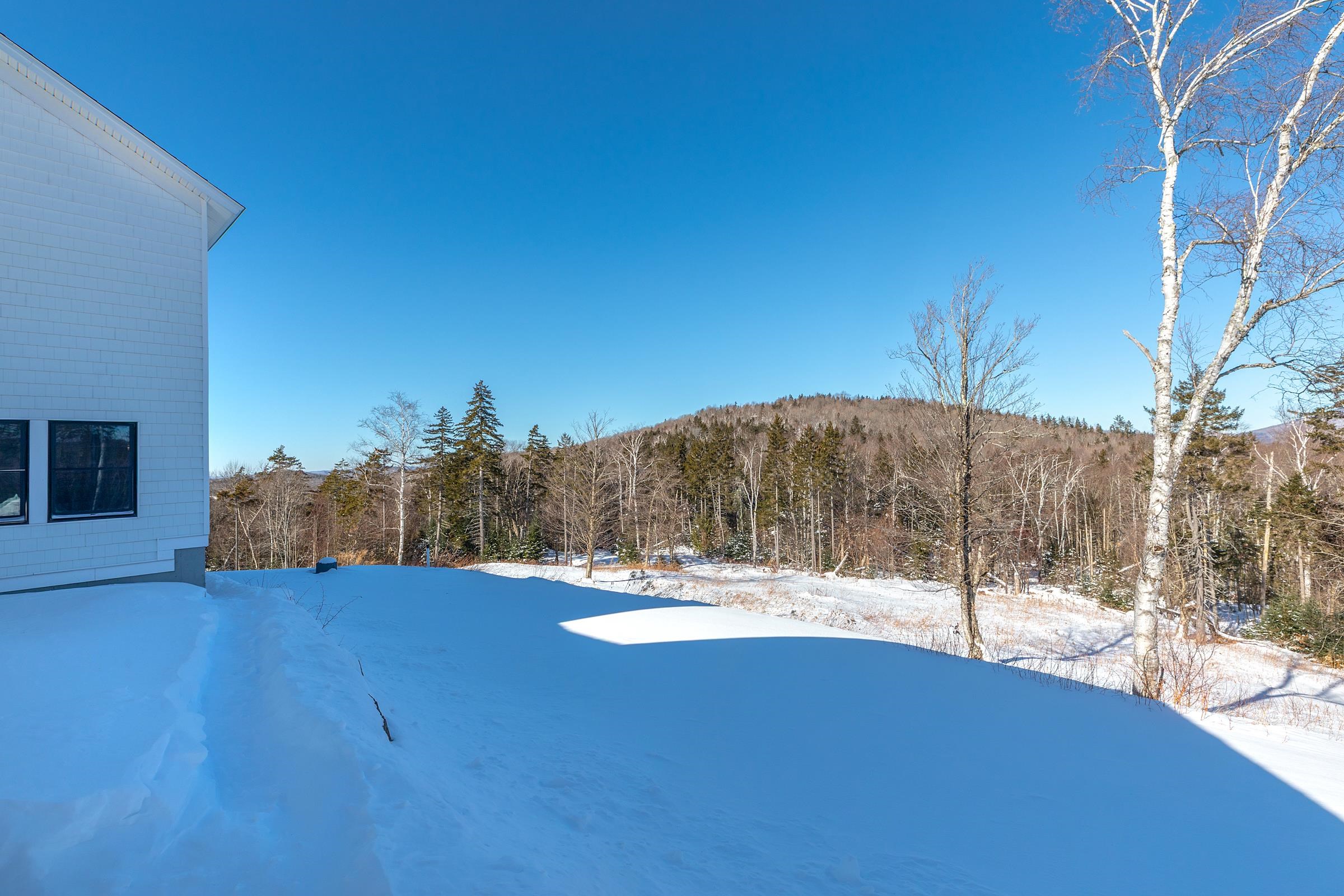 2734 Healdville Road Mount Holly, VT 05730 - Photo 10 of 59