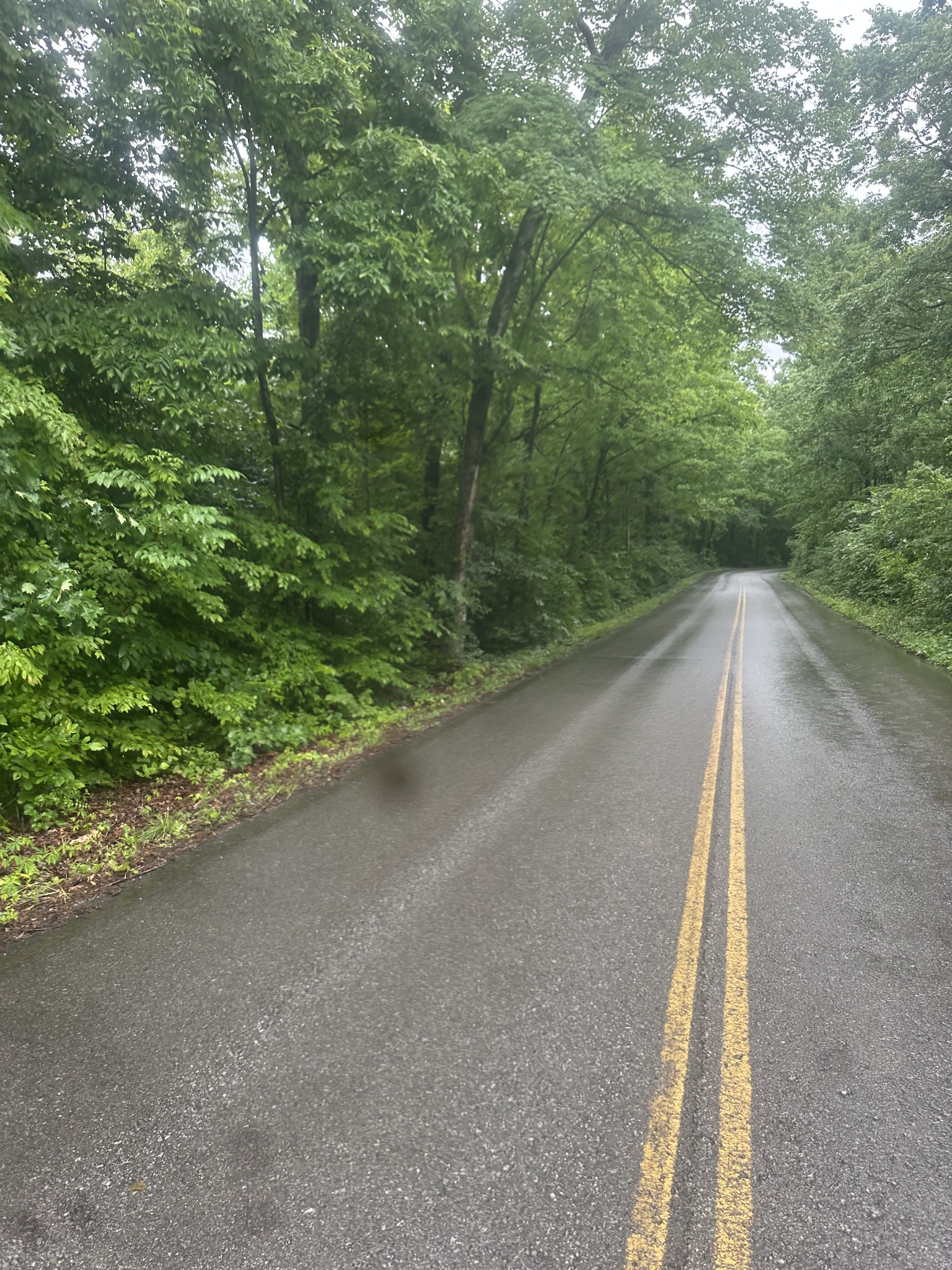 0 Gunson Ridge Road Cumberland City, TN 37050 - Photo 2 of 3 a view of a road with a yard
