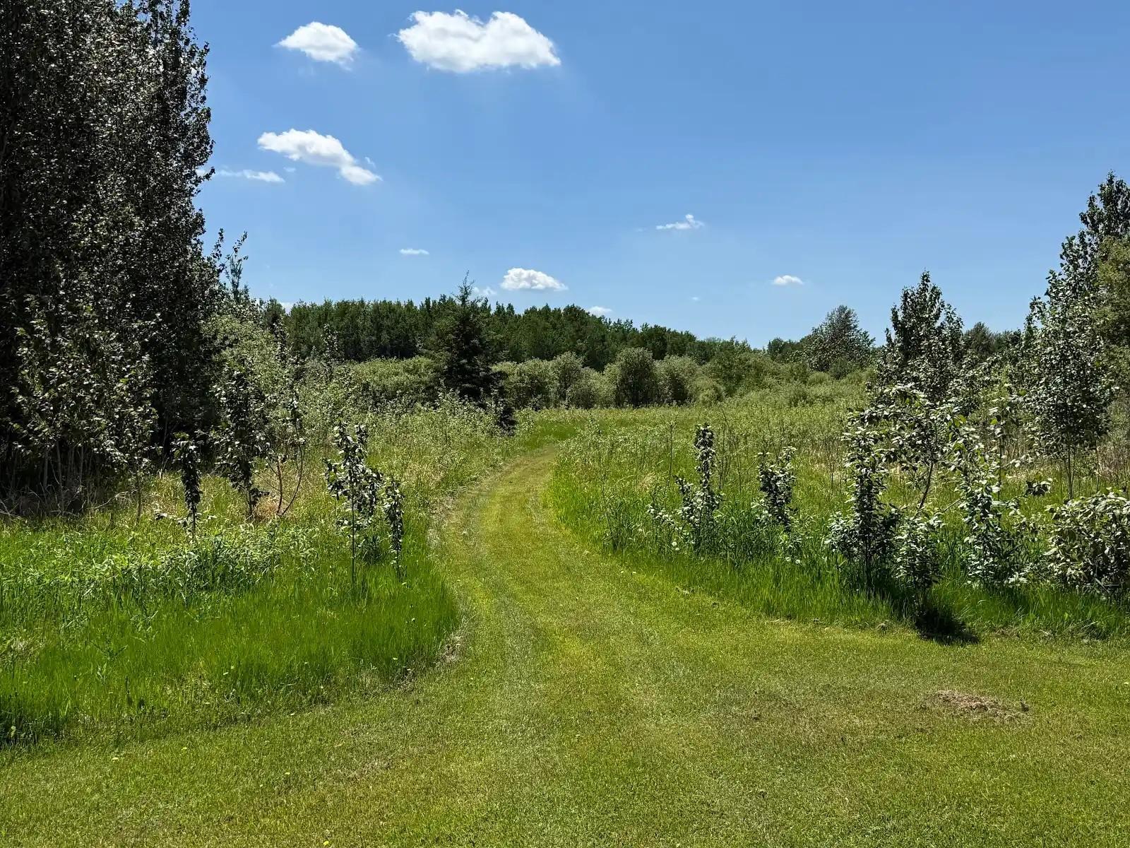 28892 Malcolm Road Northwest Grygla, MN 56727 - Photo 9 of 24