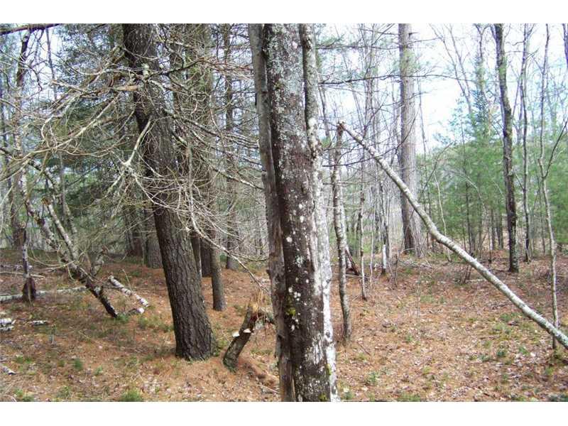 Lot 5 Lewis Hill Road West Newfield, ME 04095 - Photo 9 of 12 Land/Lot.