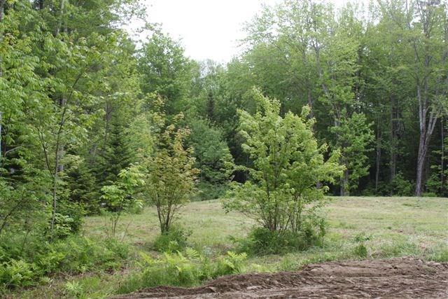 806 Williams Road Newport, ME 04953 - Photo 4 of 6 Photo