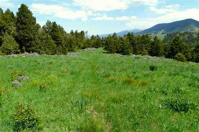 1 Elk Ridge Livingston, MT 59047 - Photo 1 of 1 Gallery Image 1