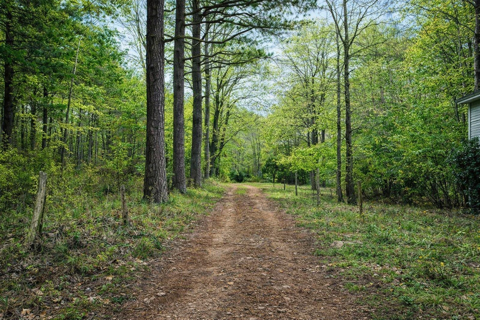 1135 West Mink Branch Road Waynesboro, TN 38485 - Photo 68 of 83