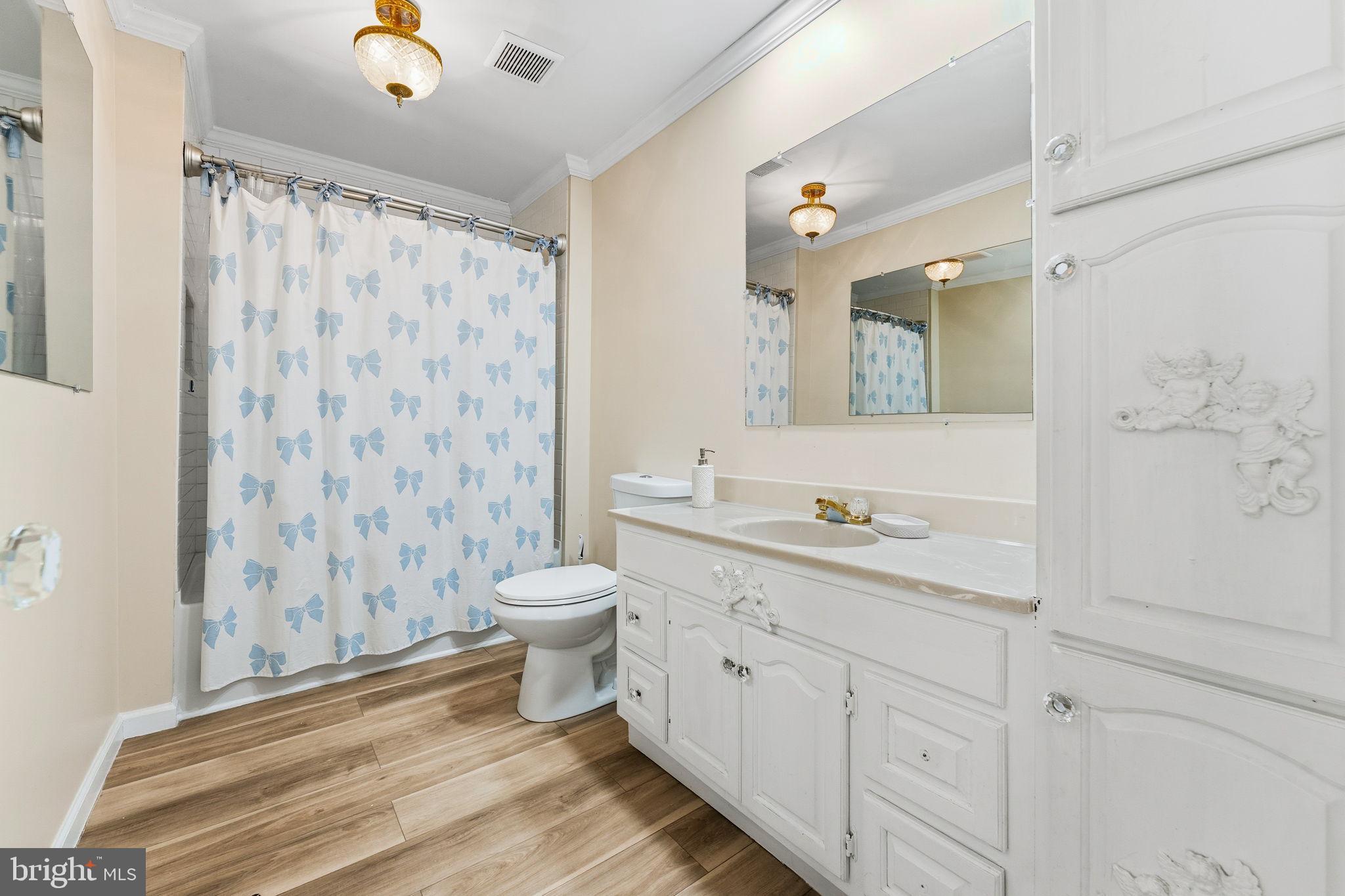 252 Red Pump Road Rising Sun, MD 21911 - Photo 31 of 41 a bathroom with a granite countertop sink a toilet and a shower