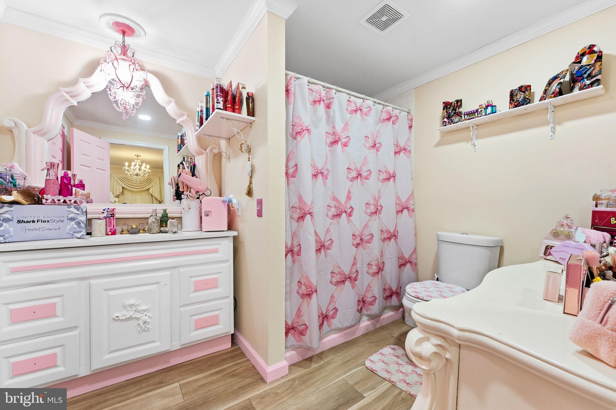 252 Red Pump Road Rising Sun, MD 21911 - Photo 39 of 41 a bathroom with a sink vanity mirror and toilet