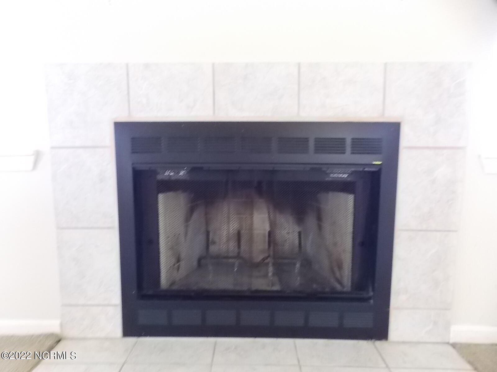 881 Sand Ridge Road Hubert, NC 28539 - Photo 5 of 25 Log burning unit