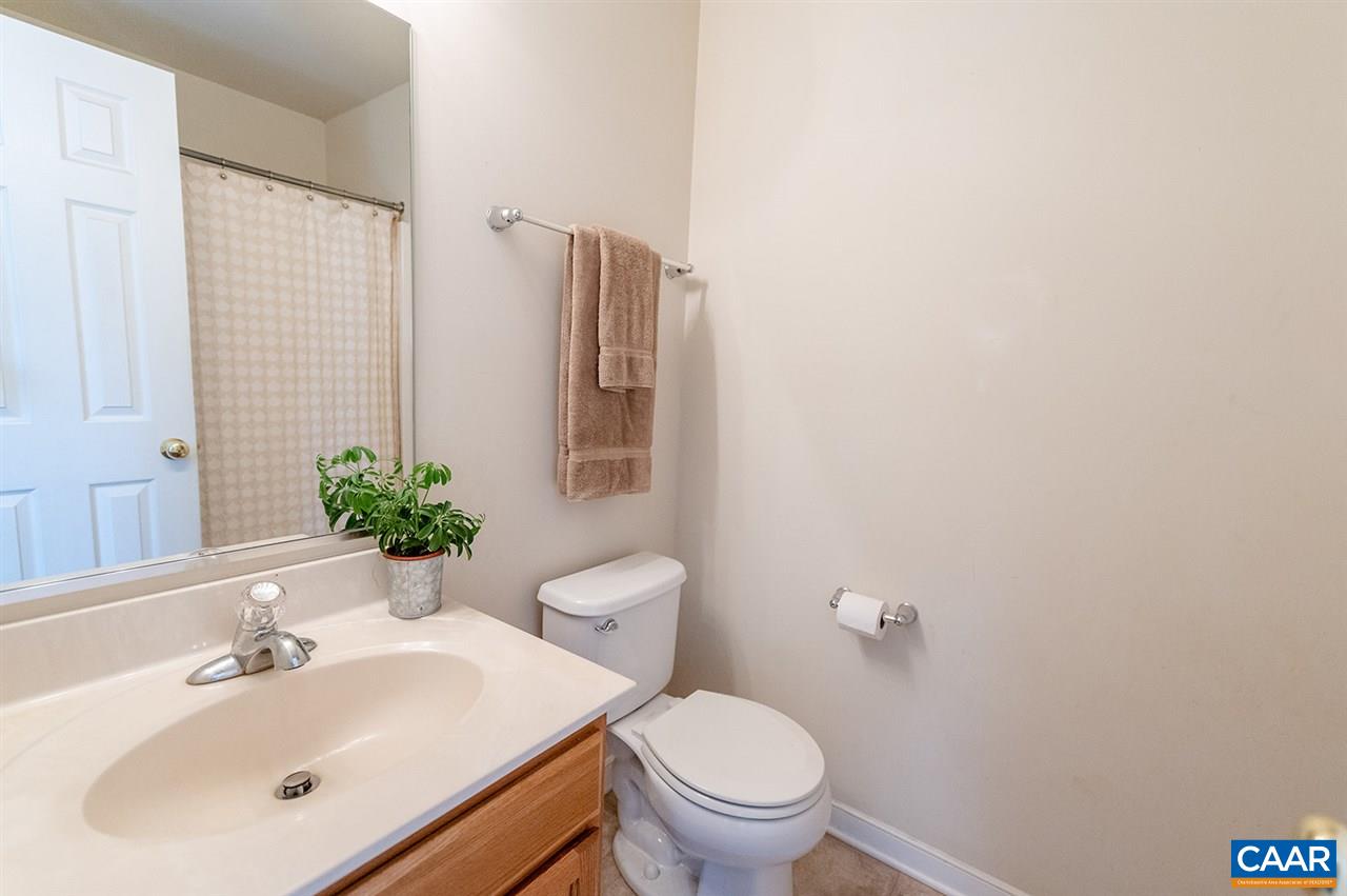 3683 Irish Road Esmont, VA 22937 - Photo 23 of 42 a bathroom with a sink toilet and mirror