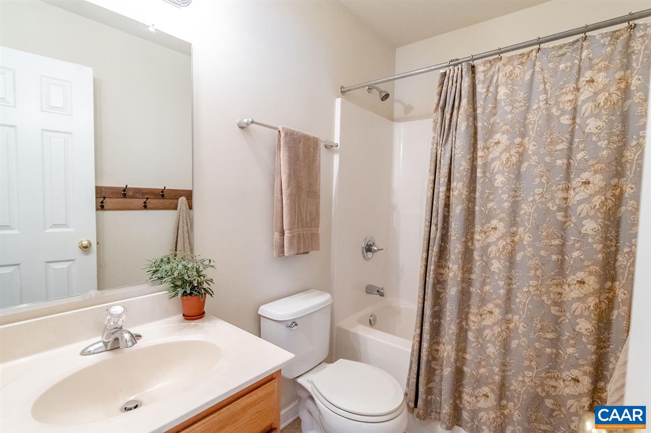 3683 Irish Road Esmont, VA 22937 - Photo 28 of 42 a bathroom with a sink toilet and shower
