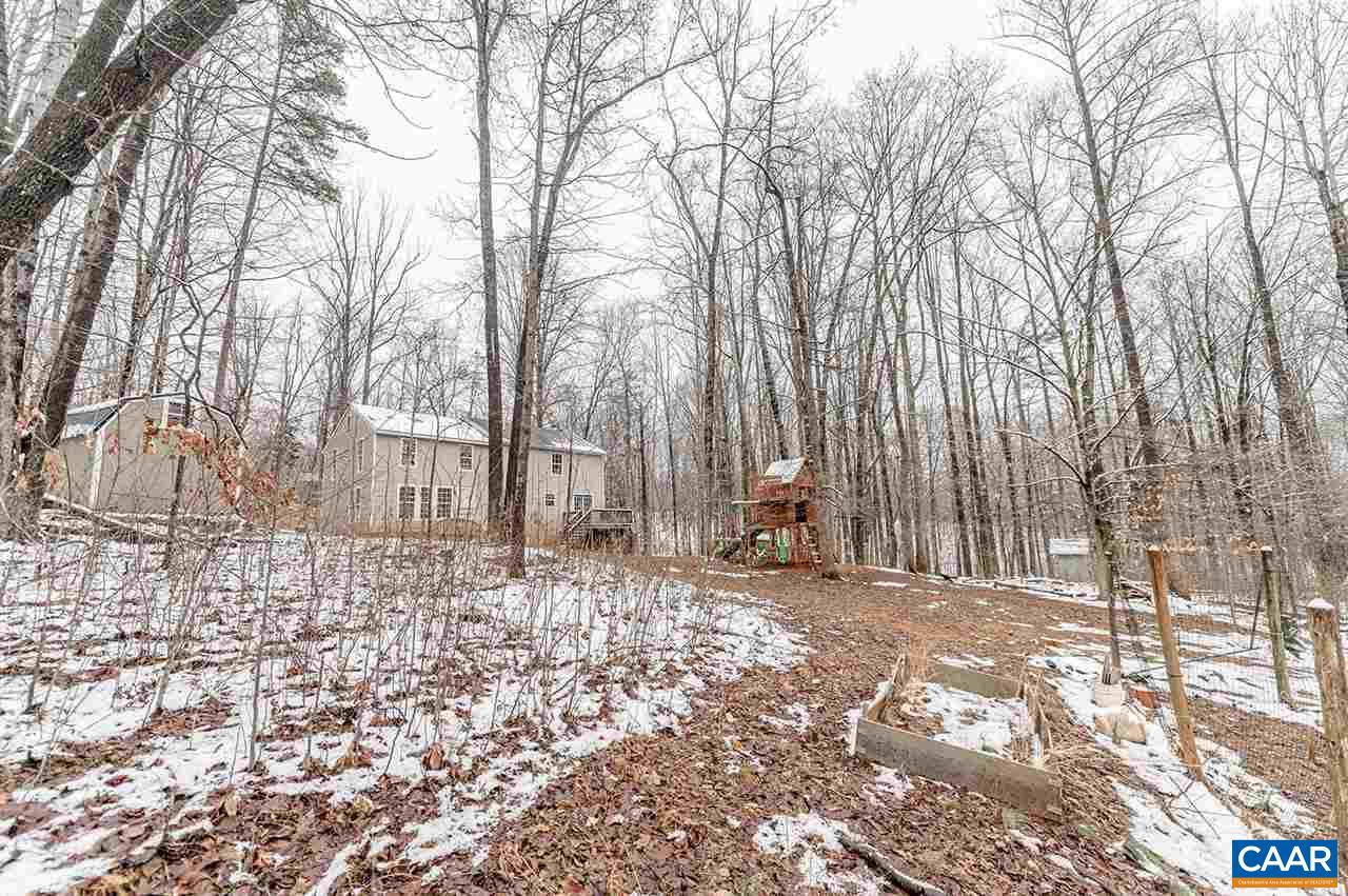 3683 Irish Road Esmont, VA 22937 - Photo 31 of 42 a row of trees with some trees