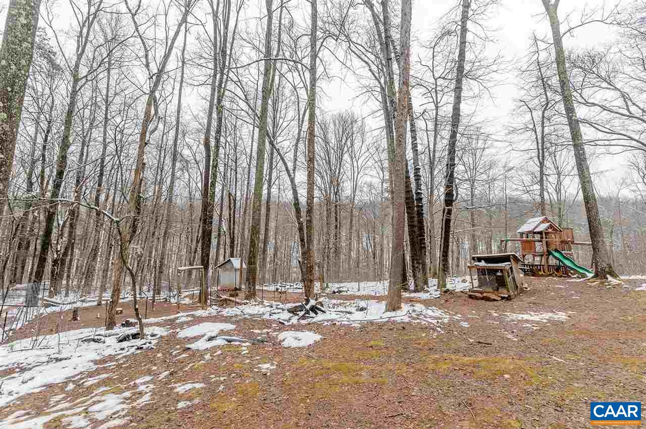 3683 Irish Road Esmont, VA 22937 - Photo 32 of 42 a view of a backyard with large trees