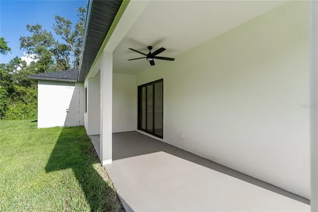 a view of field with tall trees