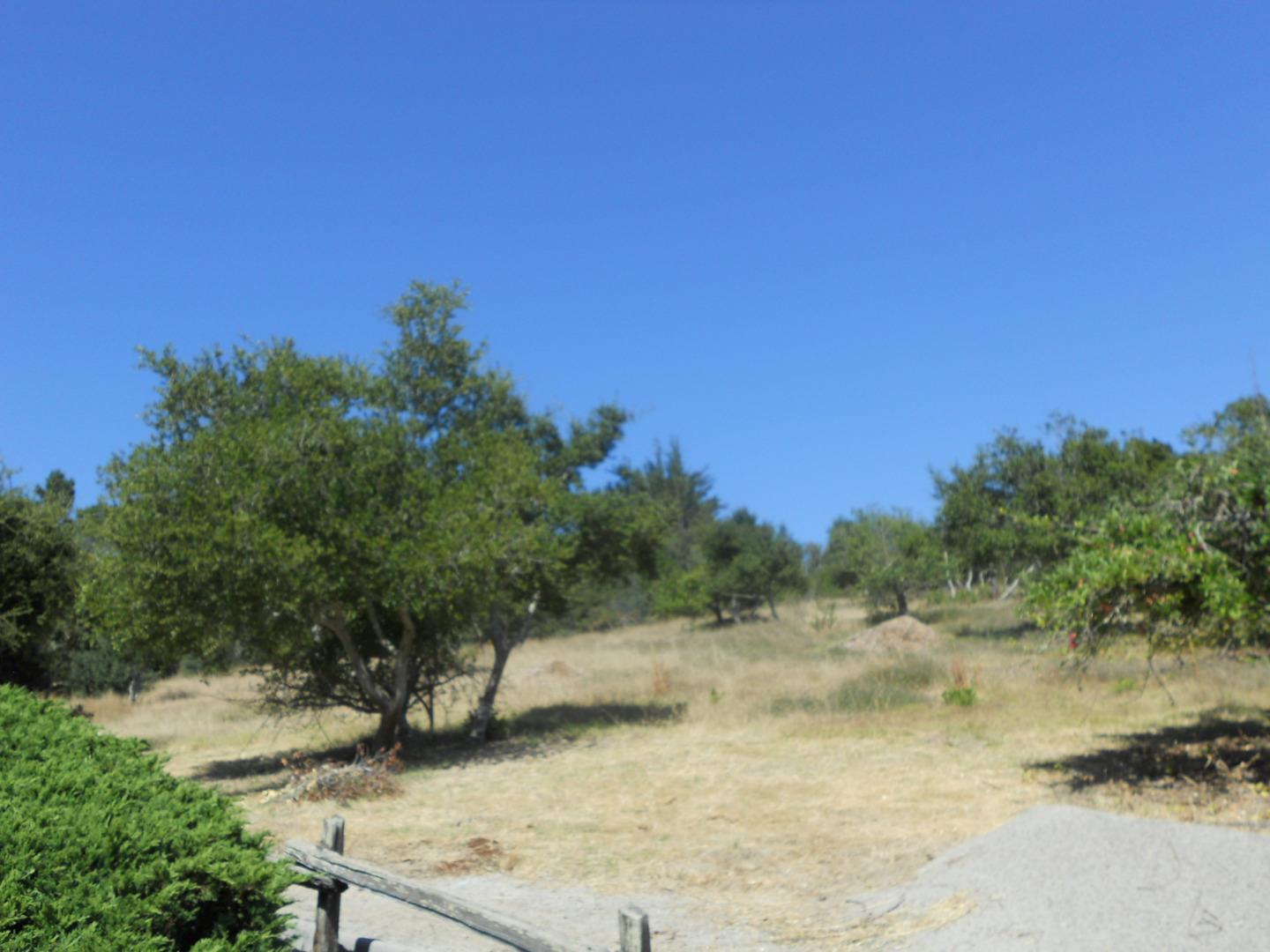 1228 Amesti Road Watsonville, CA 95076 - Photo 54 of 55
