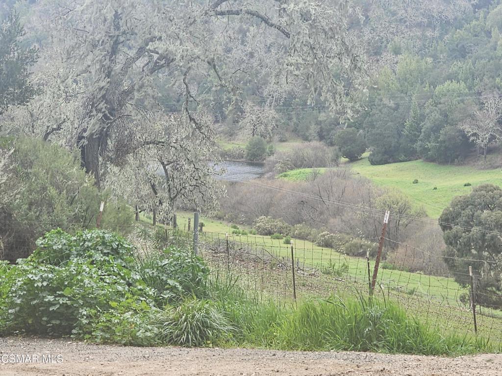 4997 Shadow Canyon Road Templeton, CA 93465 - Photo 18 of 18 a backyard of a house with lots of green space