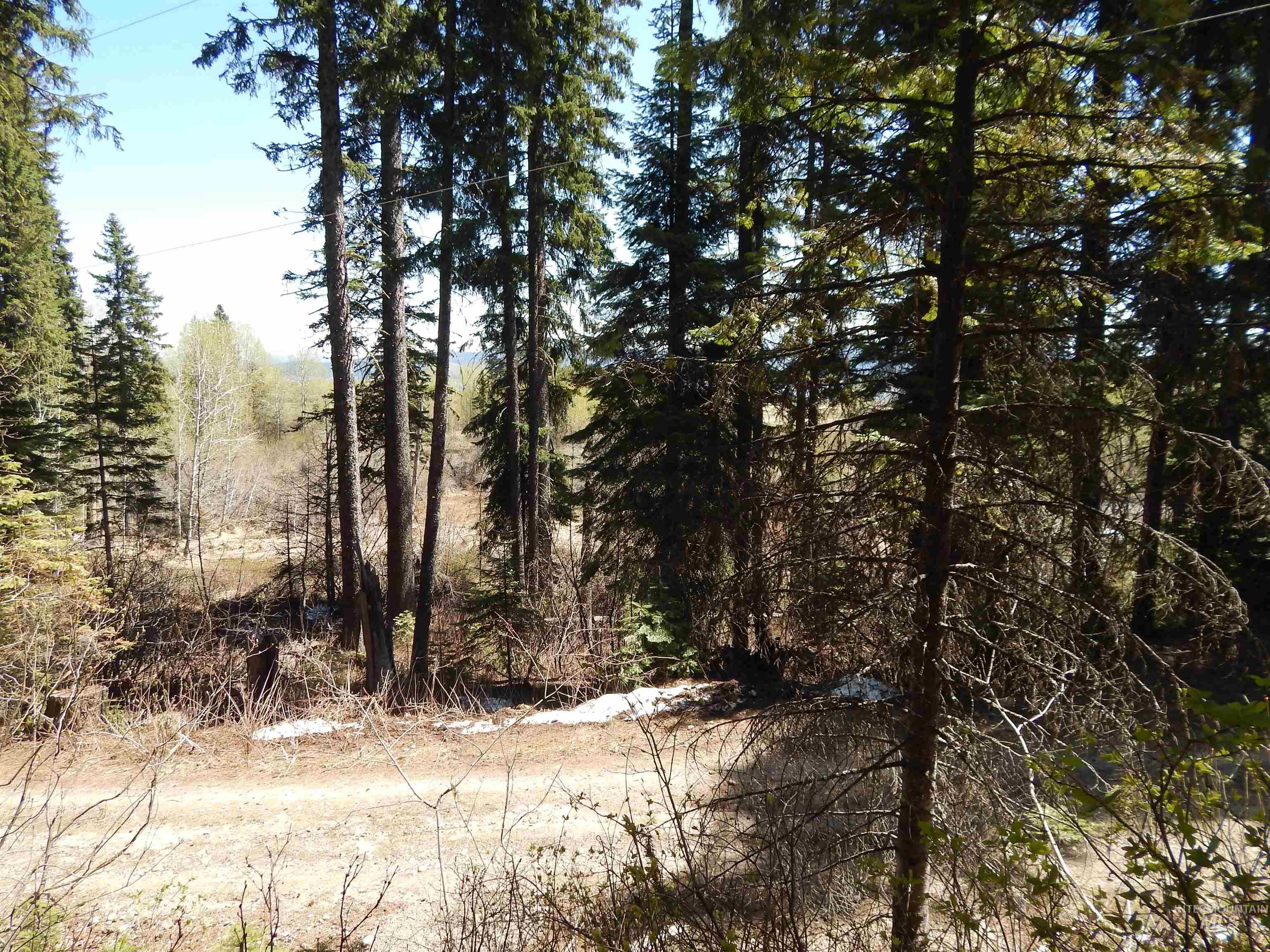 1601 Bear Trail Loop Cascade, ID 83611 - Photo 2 of 26