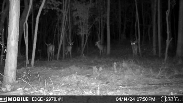 22181 McKenzie Grade Road McKenzie, AL 36456 - Photo 17 of 17 Gallery Image 17