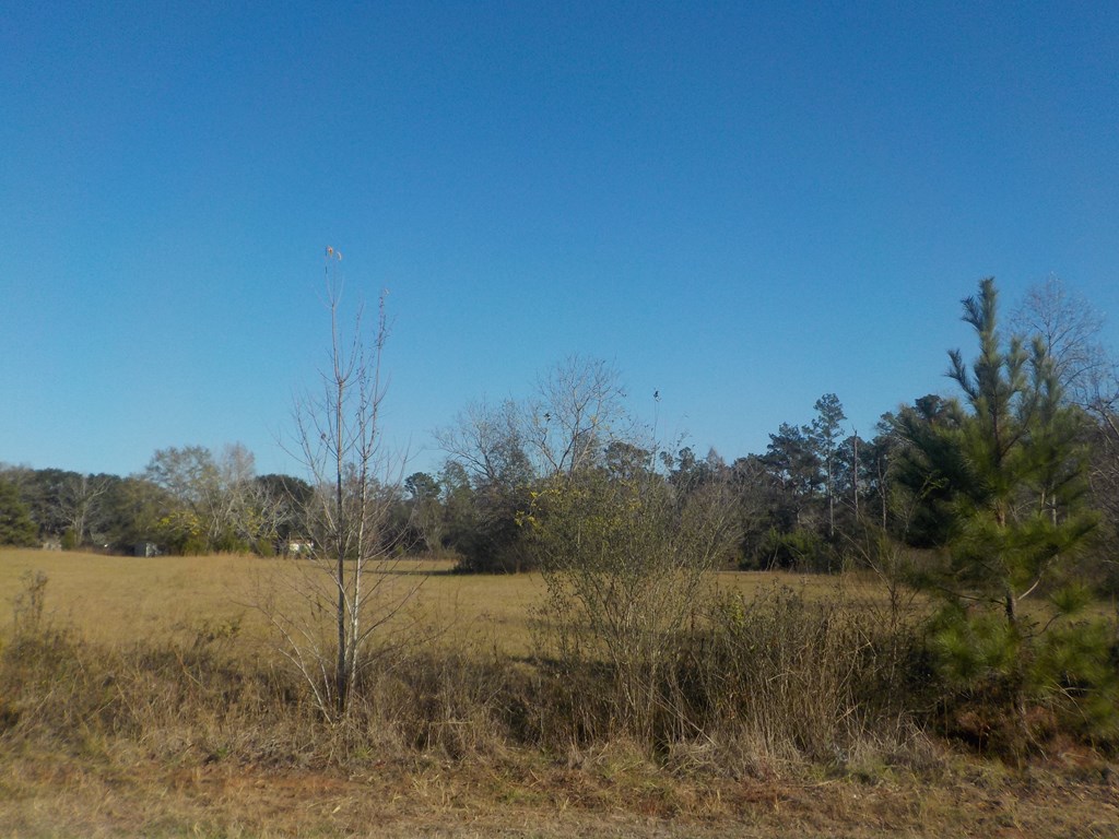 6904 South Cty Road Cottonwood, AL 36320 - Photo 16 of 23