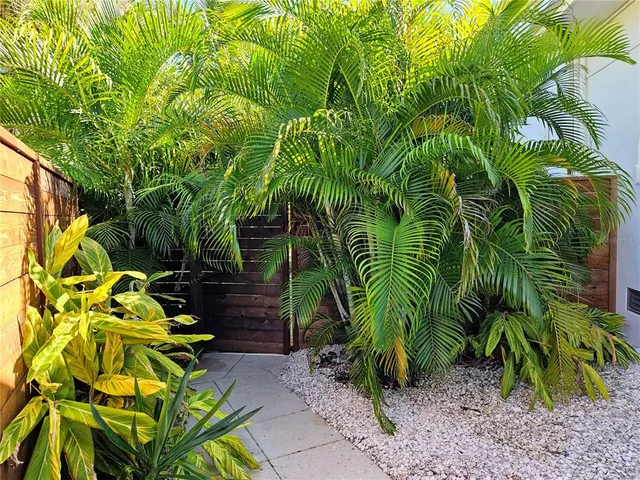 a view of a backyard with plants