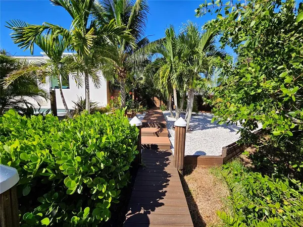a view of a garden with plants