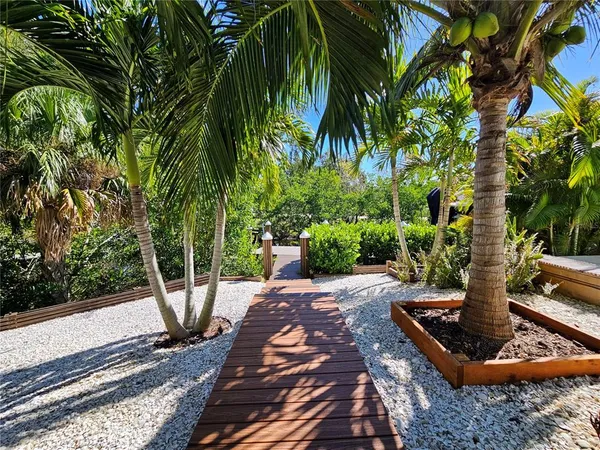 a view of a backyard with potted plants