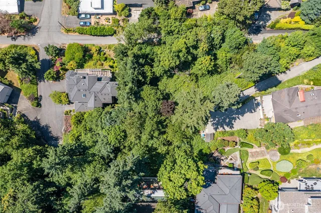 a plant that is in a garden