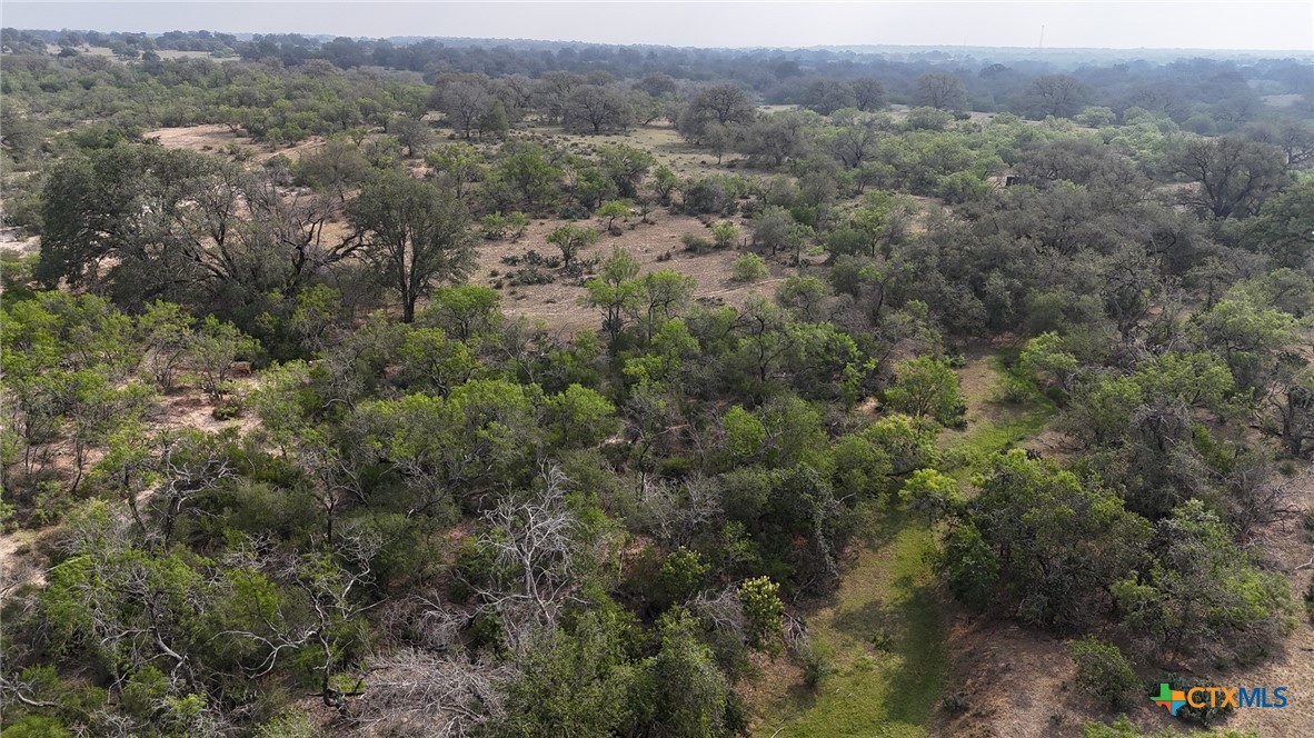 an aerial view of forest