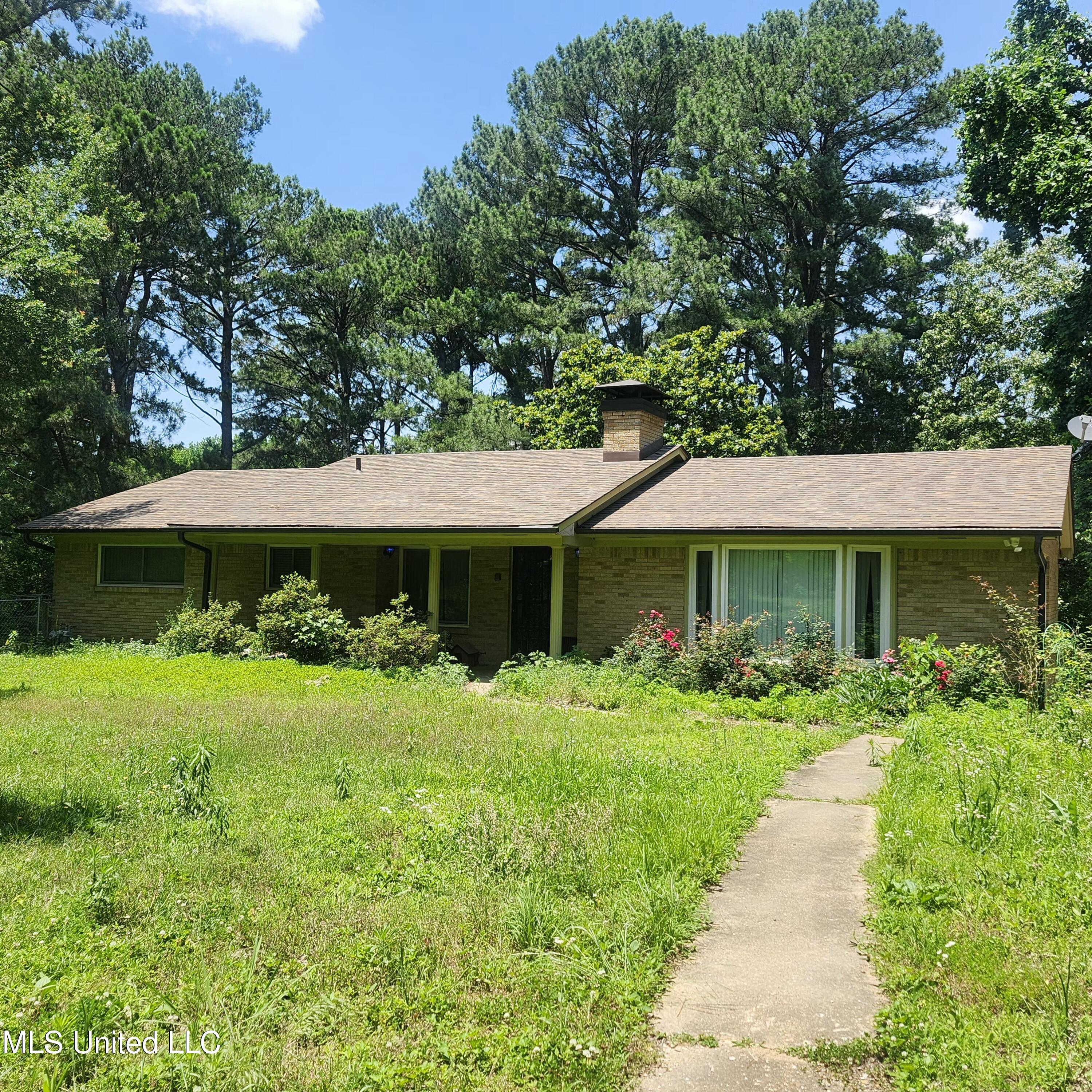 7715 Ellendale Road Olive Branch, MS 38654 - Photo 3 of 6 1000012640