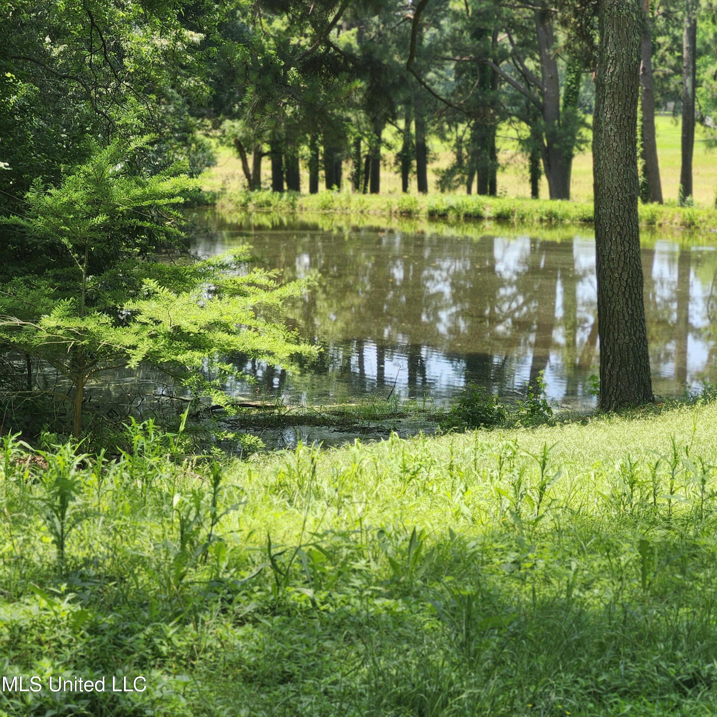7715 Ellendale Road Olive Branch, MS 38654 - Photo 4 of 6 1000012642
