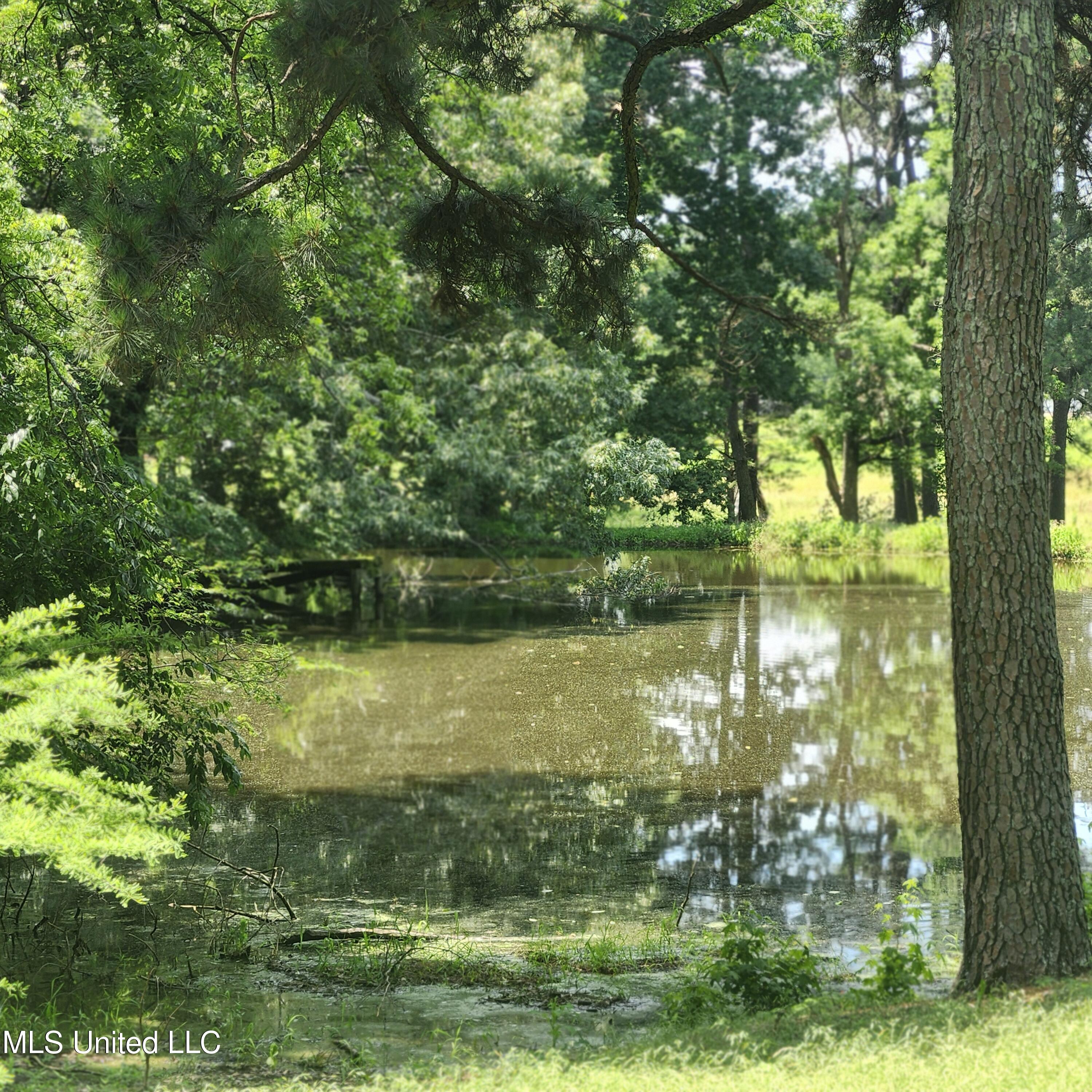 7715 Ellendale Road Olive Branch, MS 38654 - Photo 5 of 6 1000012643