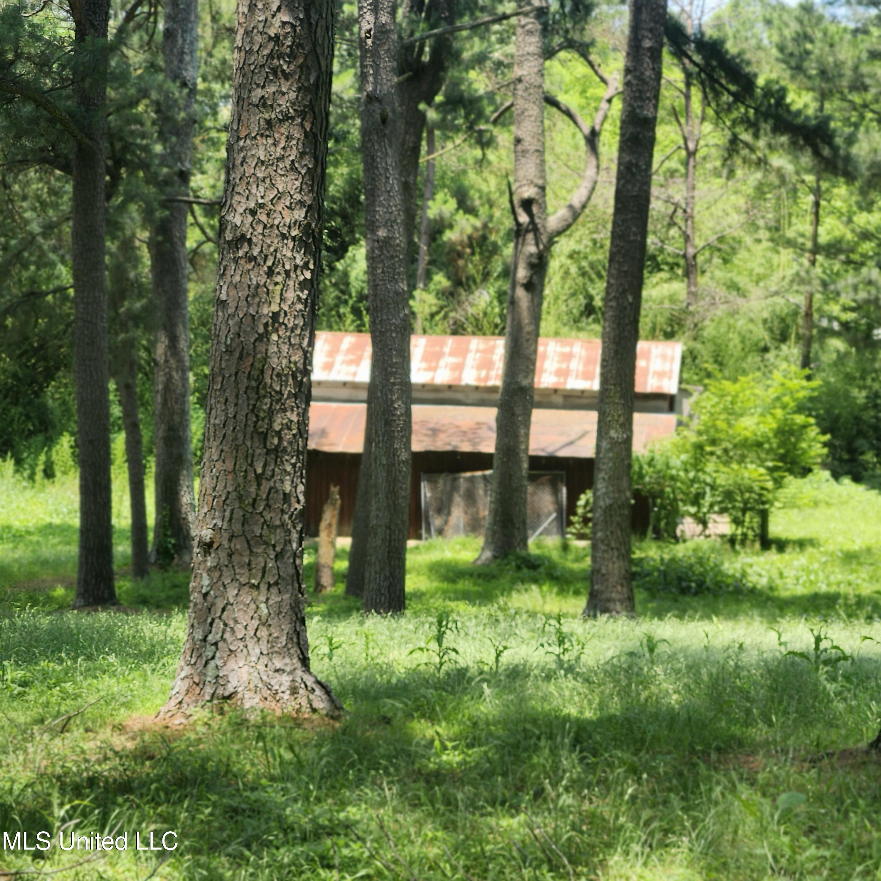 7715 Ellendale Road Olive Branch, MS 38654 - Photo 6 of 6 1000012645