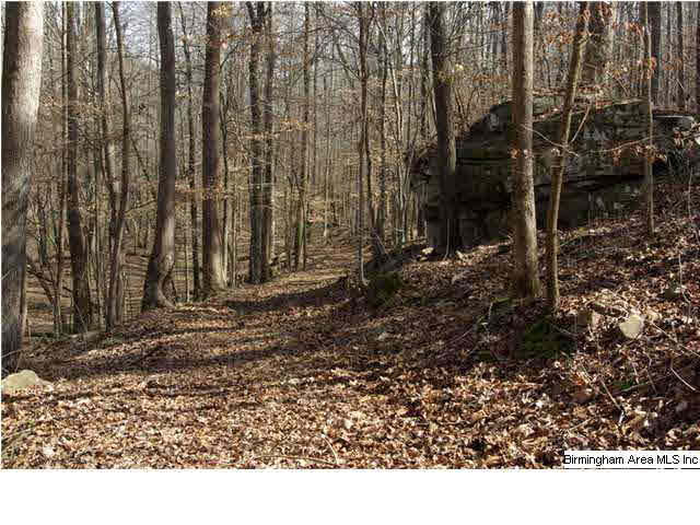 2 Horton Mill Road, Unit 2 Cleveland, AL 35049 - Photo 13 of 28