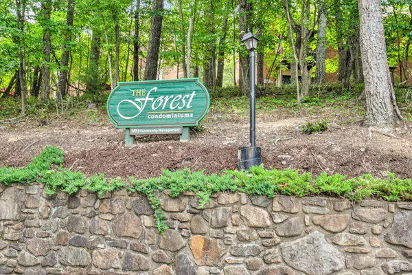 a view of a park with a bench and trees