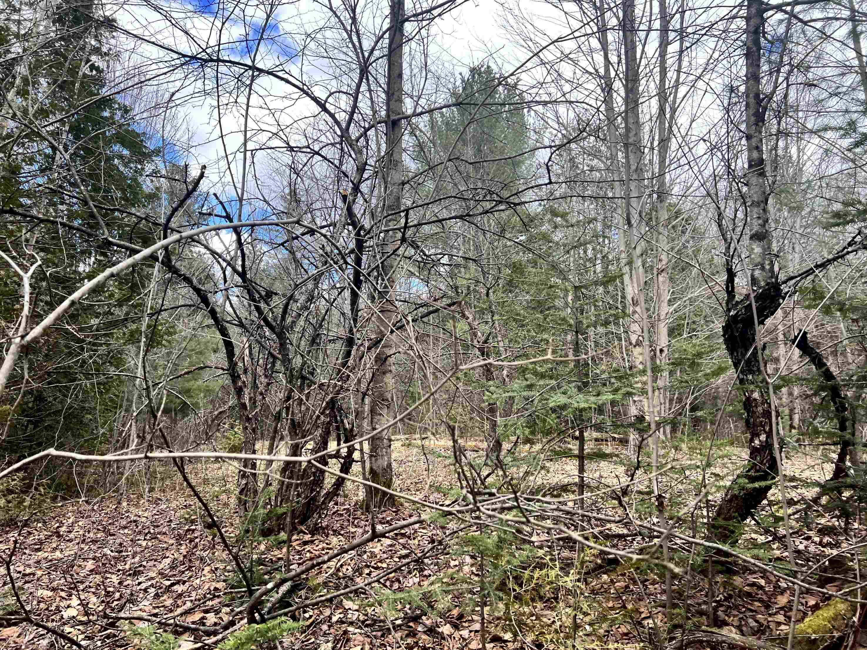 0 Parker Road Orleans, VT 05860 - Photo 7 of 21 Gallery Image 7