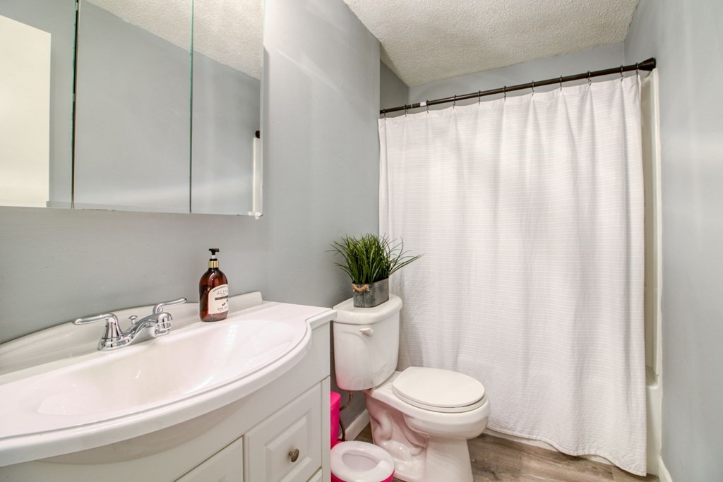 19-21 Victoria Street Springfield, MA 01104 - Photo 10 of 27 Gallery Image 10