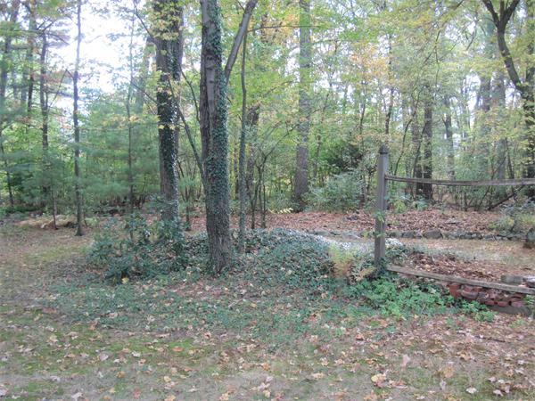 12 Eaton Road Framingham, MA 01701 - Photo 28 of 29 a view of a forest with trees in the background
